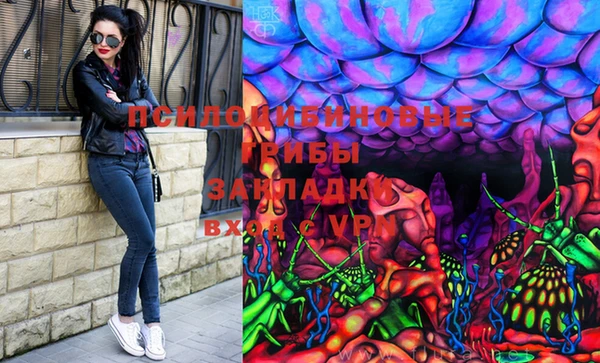 дмт Бронницы
