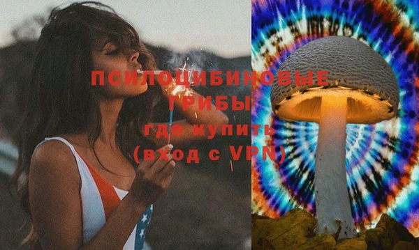 а пвп мука Бородино