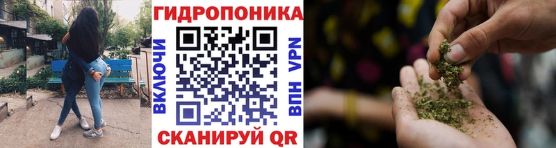 Купить  Алексин  Шишки марихуана Ganja 